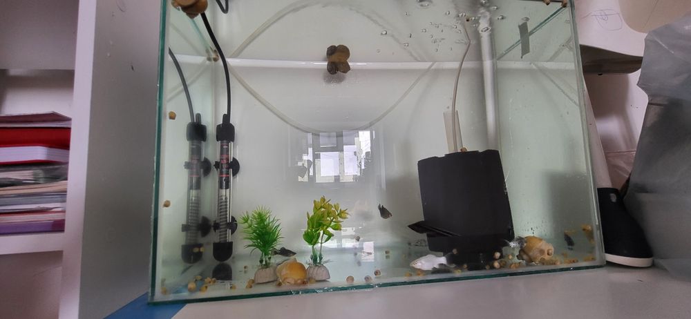 Аквариум сатылады