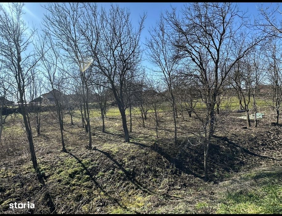 Teren Intravilan in Ambud