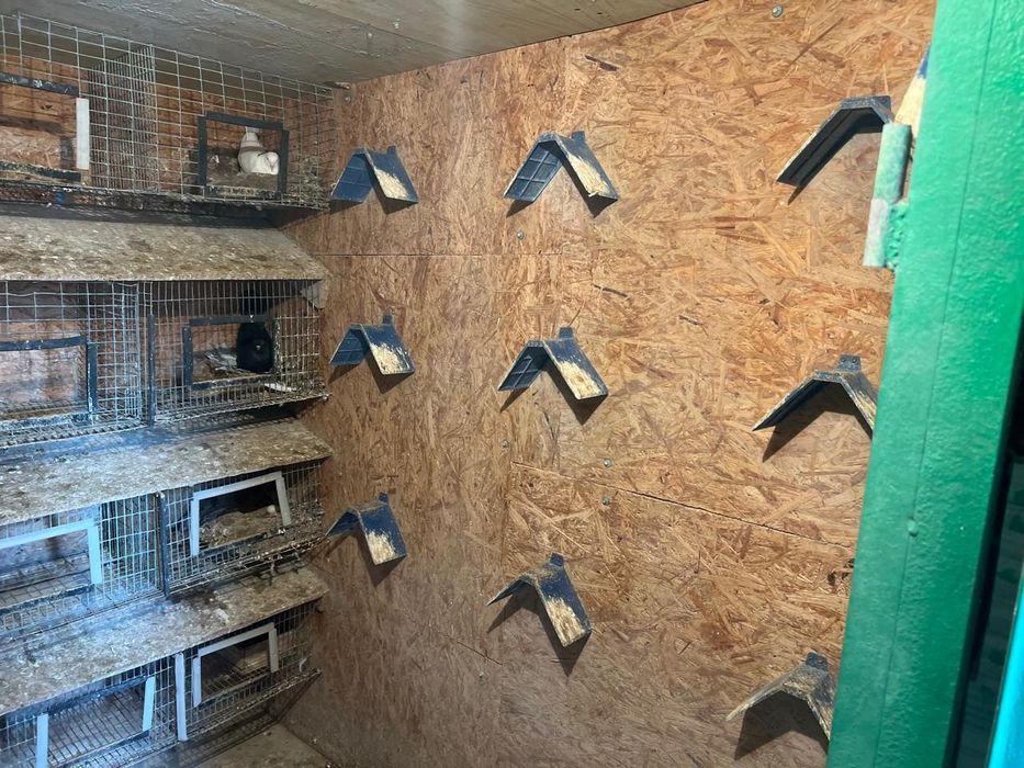 Продам голубятник