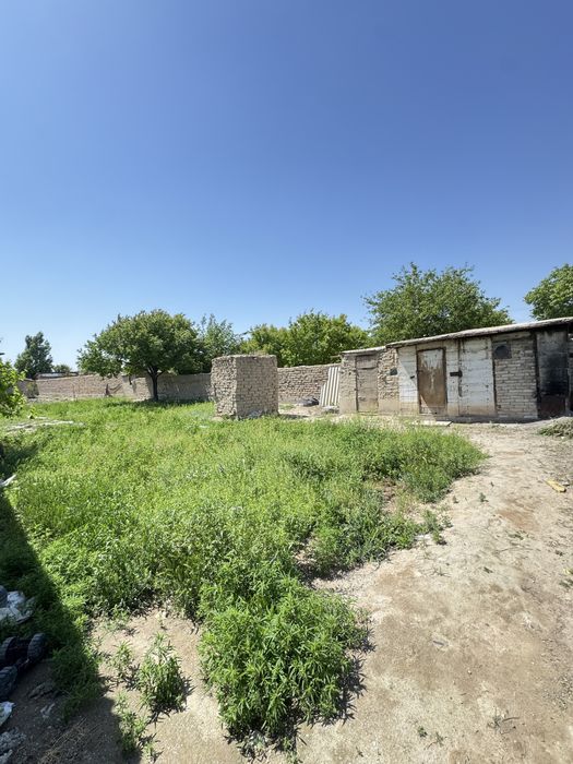 Дача Восход (Кўришизга арзийди )