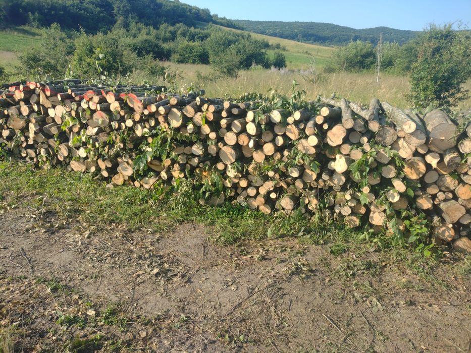 Lemne pentru foc
