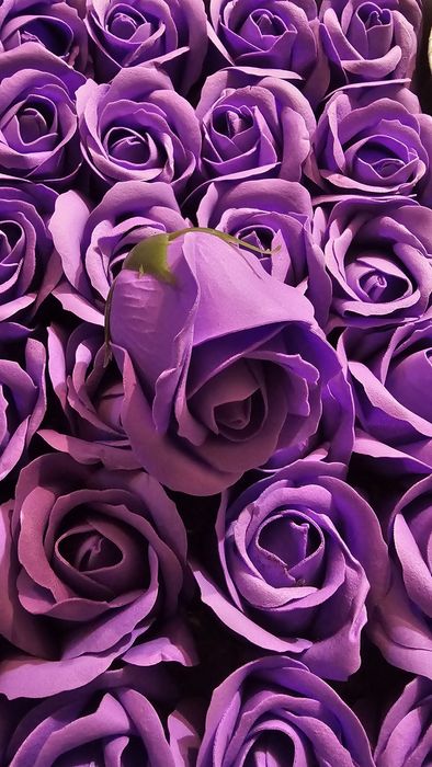 Сапунены рози. Рози от  сапун.