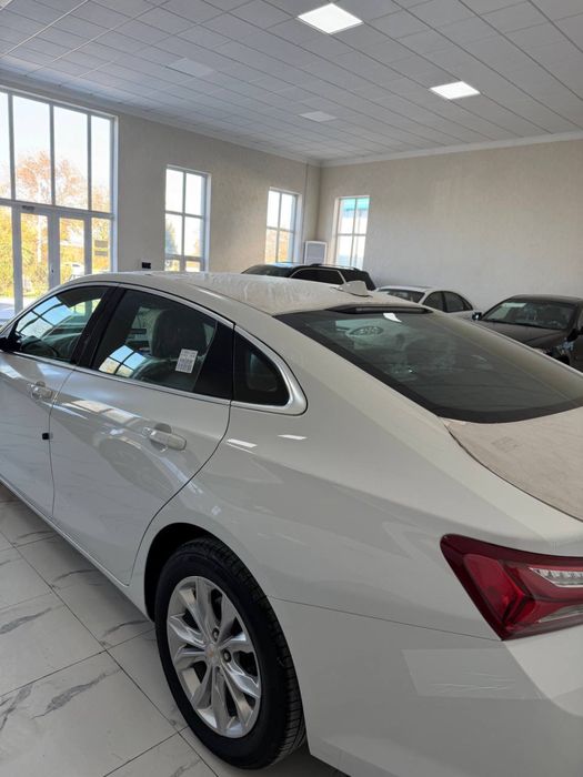 Malibu premier masla