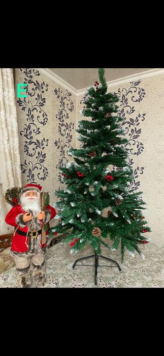 Новогодние ёлки Ёлка Шырша!!