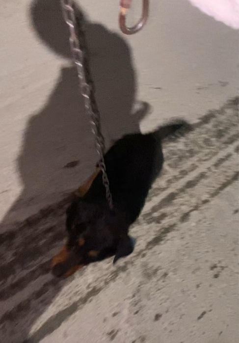 Улаьадтсьсла плмдаьплльалпллаьпдрдкбрддпдпдпдпдпьппдькдмьадмлькщплслщк