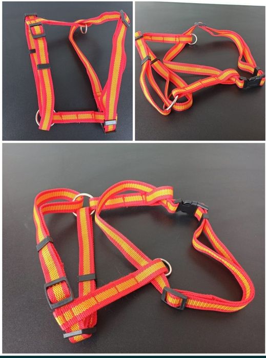 zgarda caine catel pisica pisic ham lesa la plimbare