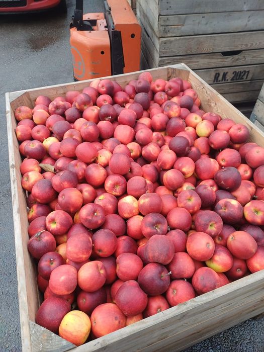 Mere de vânzare Calitate superioară