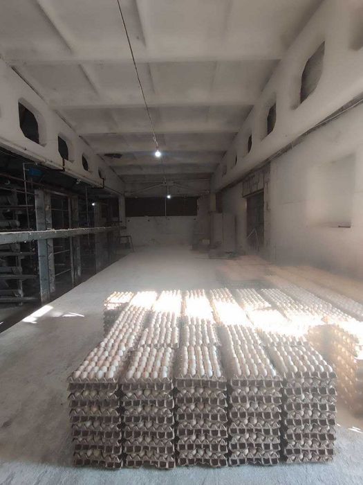 XXX Продаётся птицфабрика Кибрай