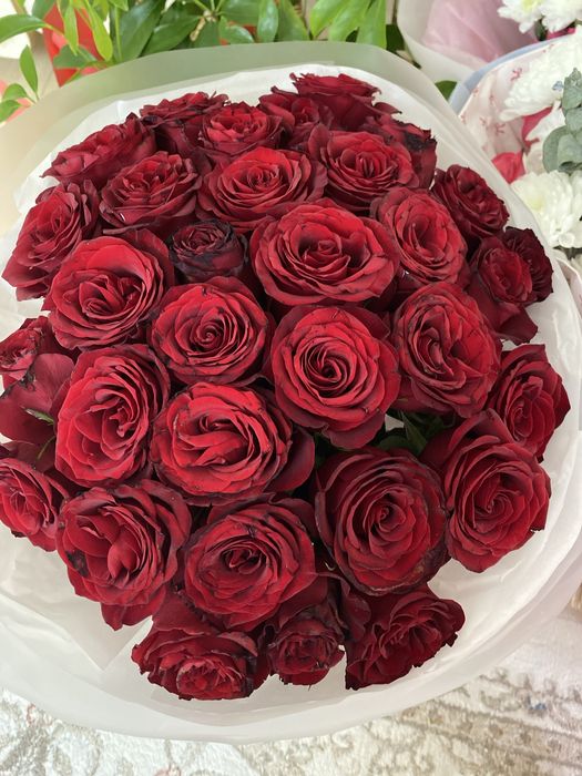 Гулдер сатылады 3000тг ден