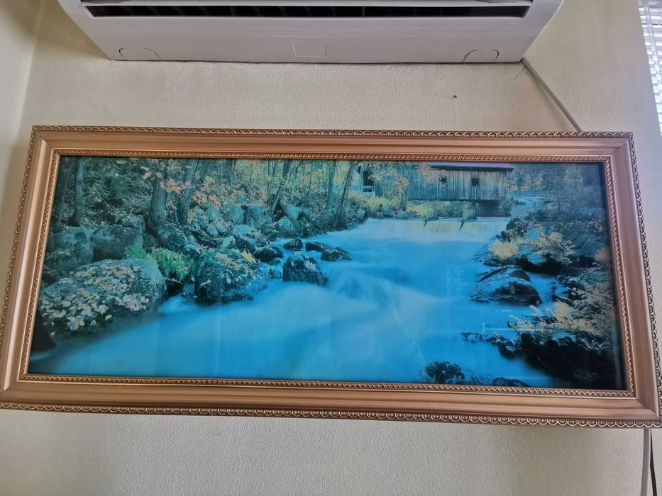 Продавам много ефектна светеща, движеща се и пееща картина