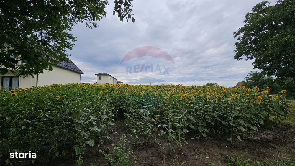 Teren intravilan 2600 mp de vânzare, Ipotești- Lisaura, Suceava