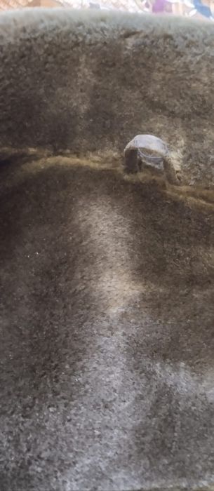 Продам дубленку мужскую