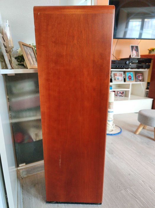 High-End Canton Ergo RC-S – Като нови, Първи собственик, Real Wood