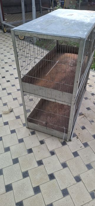 Qush ini  2 avatar 1m×50sm