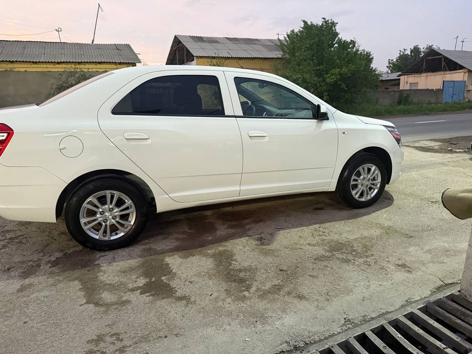 Cobalt 11900 xolati ideal