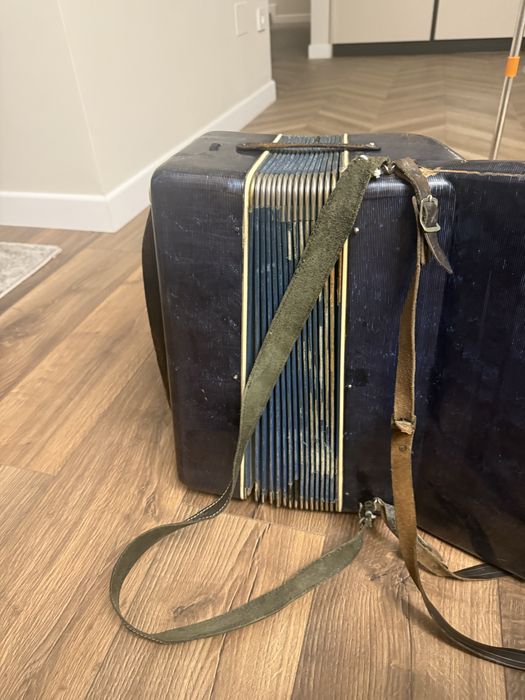 Vand Acordeon muzical