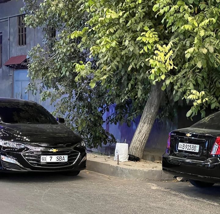 Rent Car  | Прокат Автомобиля |  Kunlik ijara | 24/7