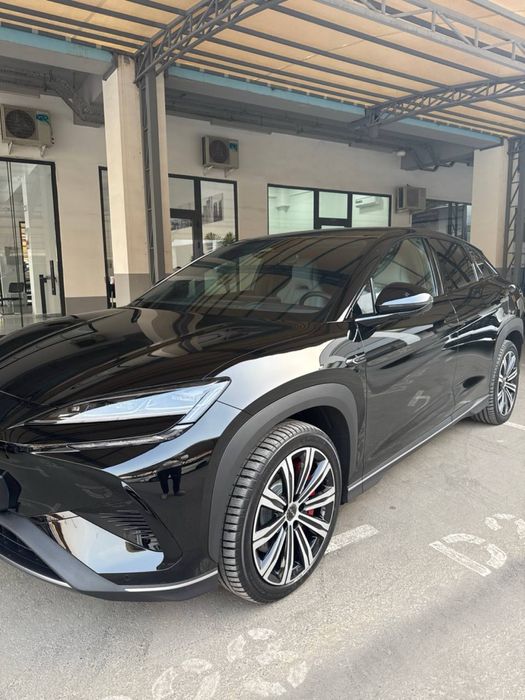 BYD Sea Lion  7  afetsiyalniy dillerdan