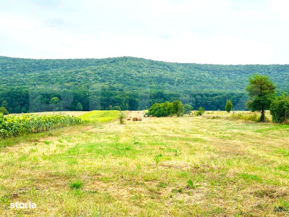 Teren de vanzare, 15.000 mp, zona Poieni - Com. Schitu Duca
