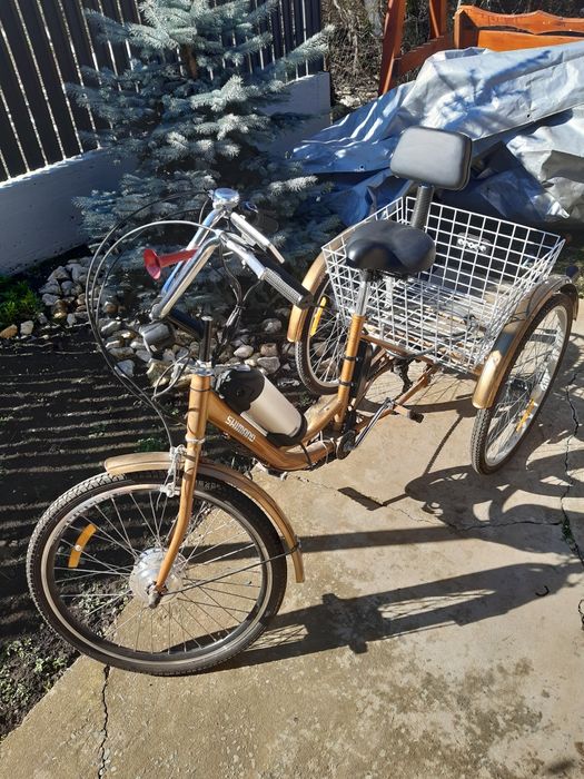 Tricicleta electrica