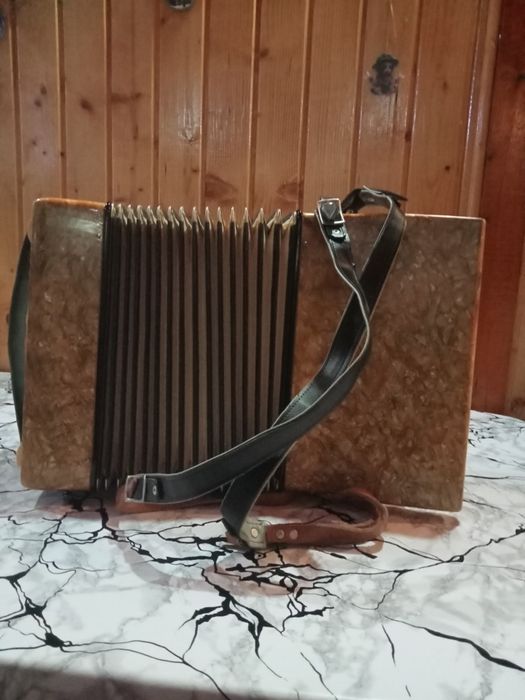 Acordeon Timiș - Select din anii '70