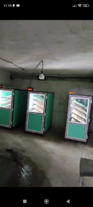 Инкубатор промышленый Бвлапан, 1056 куриных ямц