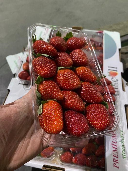 Клубника Египетская