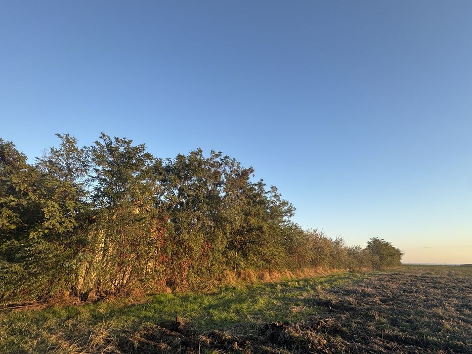 Teren 2350m2 Intravilan - Visinii, Jud. Calarasi