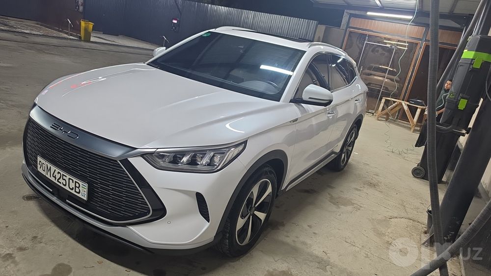 Song pilus GIBRIT BYD  2023 yil olingan 100% radnoy