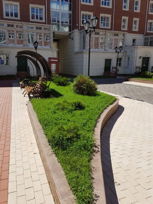 ОЗЕЛЕНЕНИЕ Профессионально