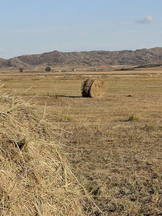 продам сено в рулонах