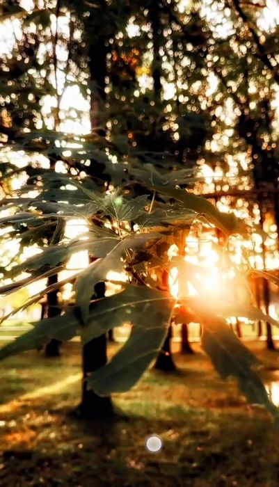 Evenimente//Poze//Fotografii//Servicii//Fotograf