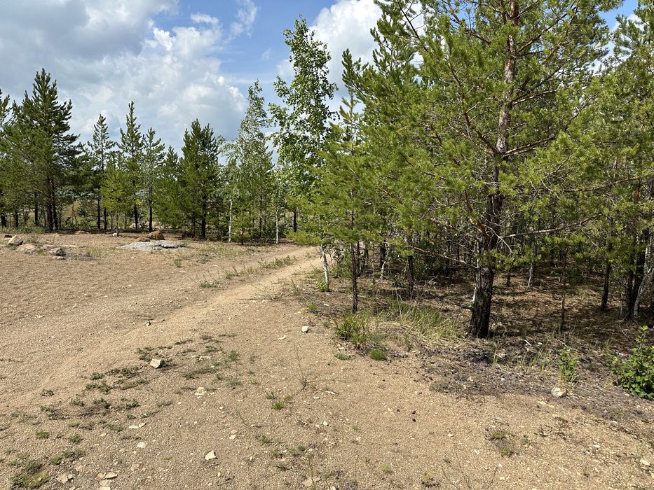 Участок на берегу озера Шалкар