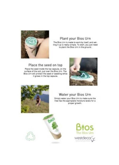 Urna funerara (plantă) biodegradabila BiosUrn