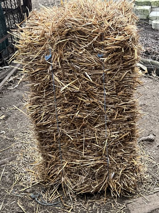 Baloti de paie de grau