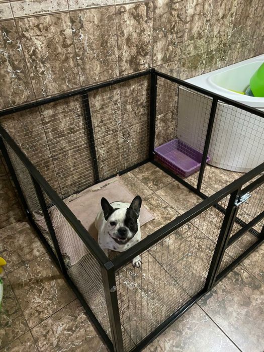 Вольер, квартирный.