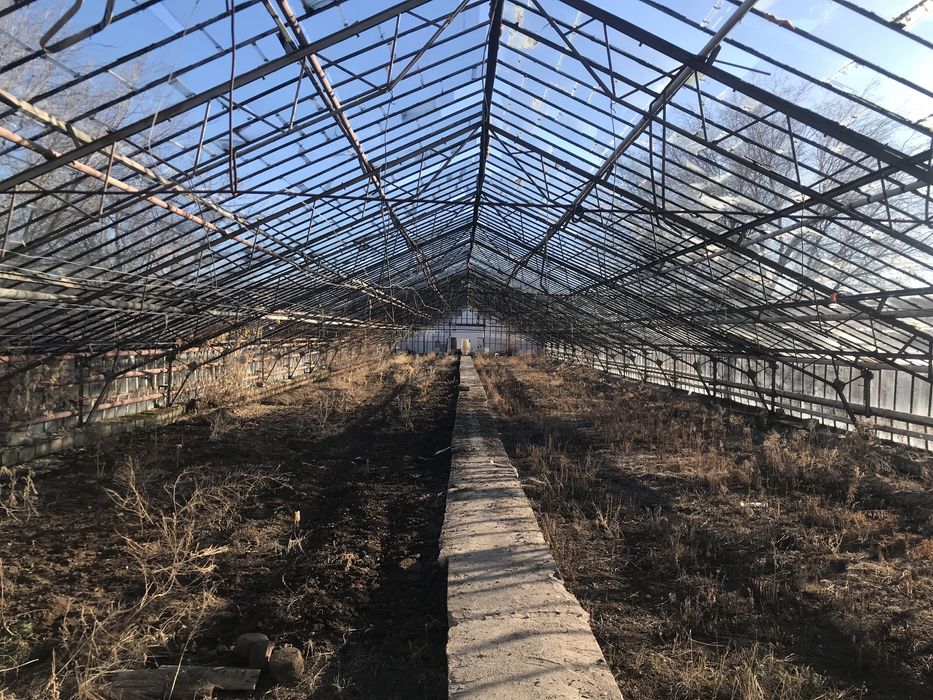 Теплица / тепличный комплекс