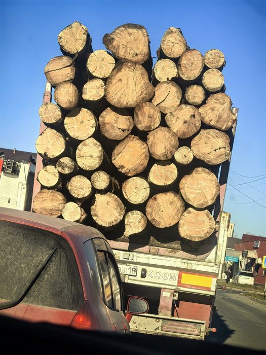 Продам  Лес кругляк . Все законно.