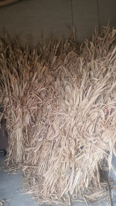 мол ва  қӯйларга емиш бор 400 минг