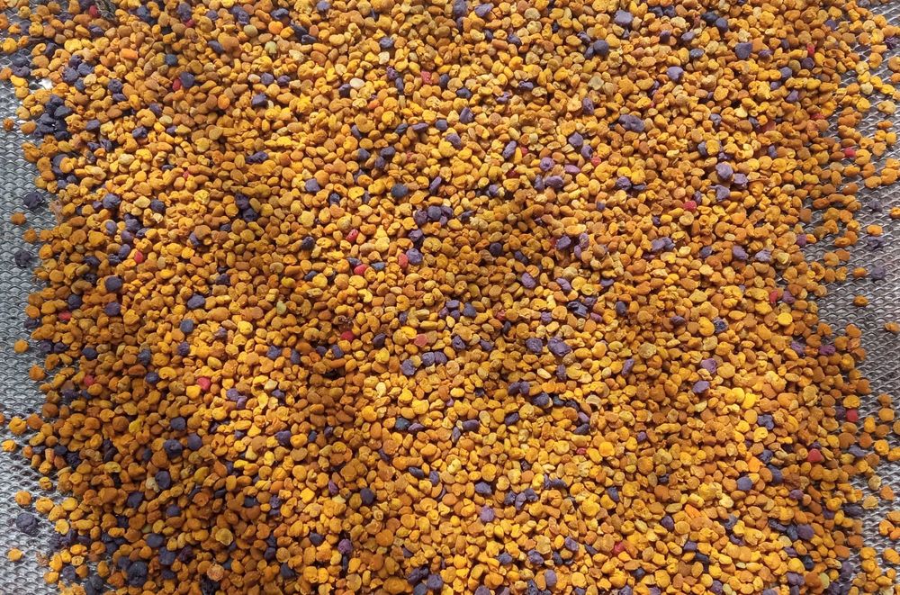 Акациев пчелен мед, билков букет, прополис