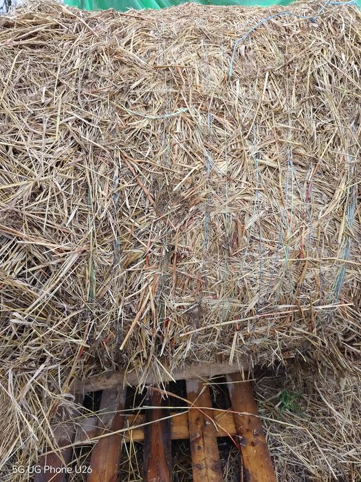 Рулонни бали Балур!