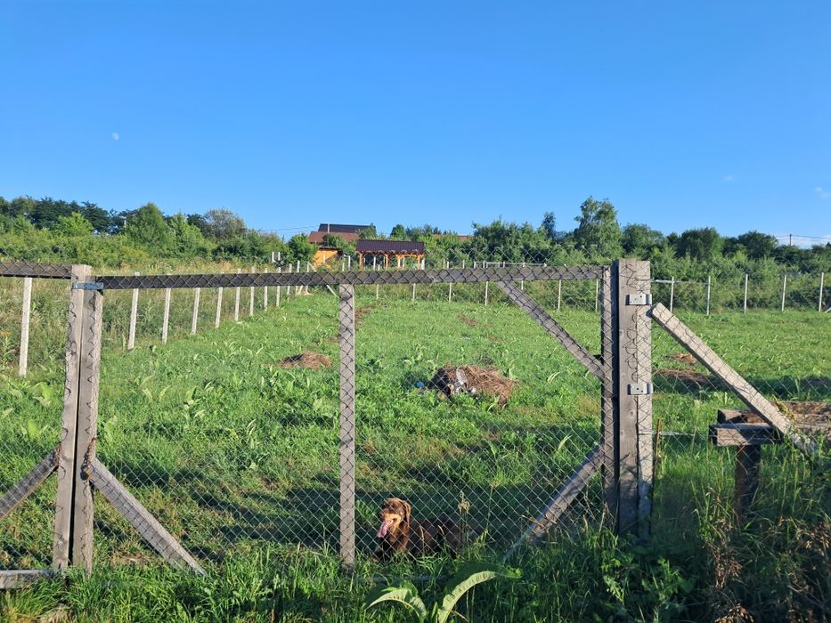 Vând teren intravilan DAIA NOUA 500 M2