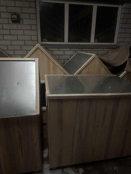 Собачие будки