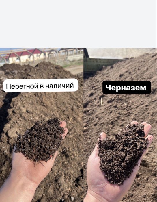 Черназем и перегной - выгодные уены, доставка