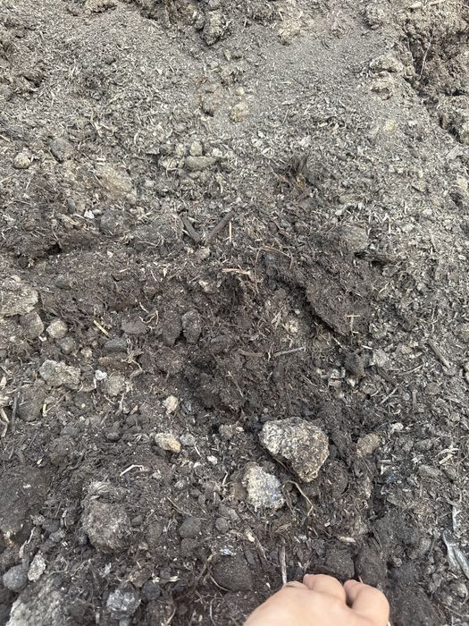 Продается навоз корови и конина в мешках,