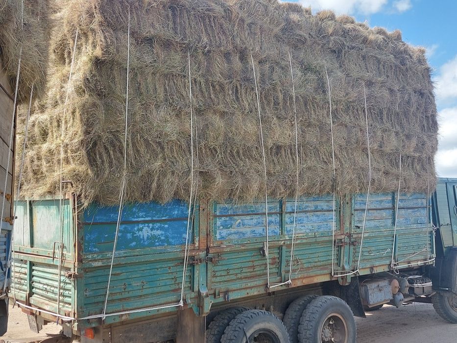 Продам сено в тюках и рулонах