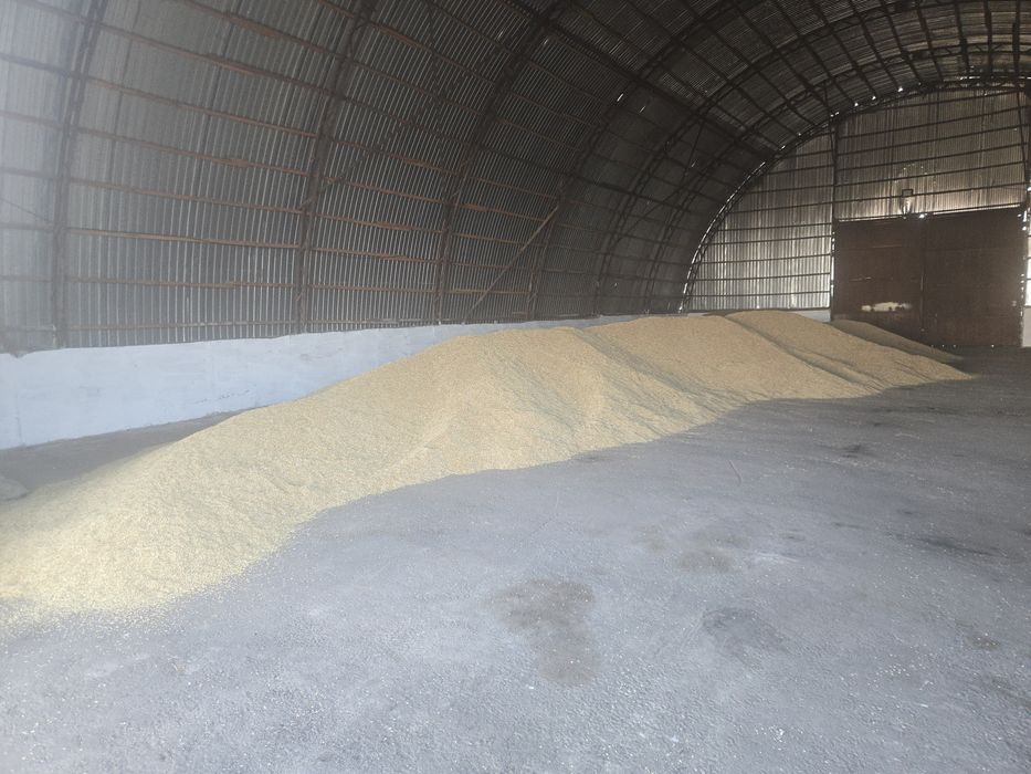 Продам ячмень, урожай 2026