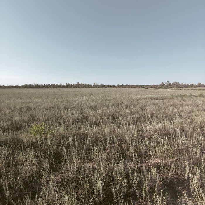Жер сатылады (Алатау)