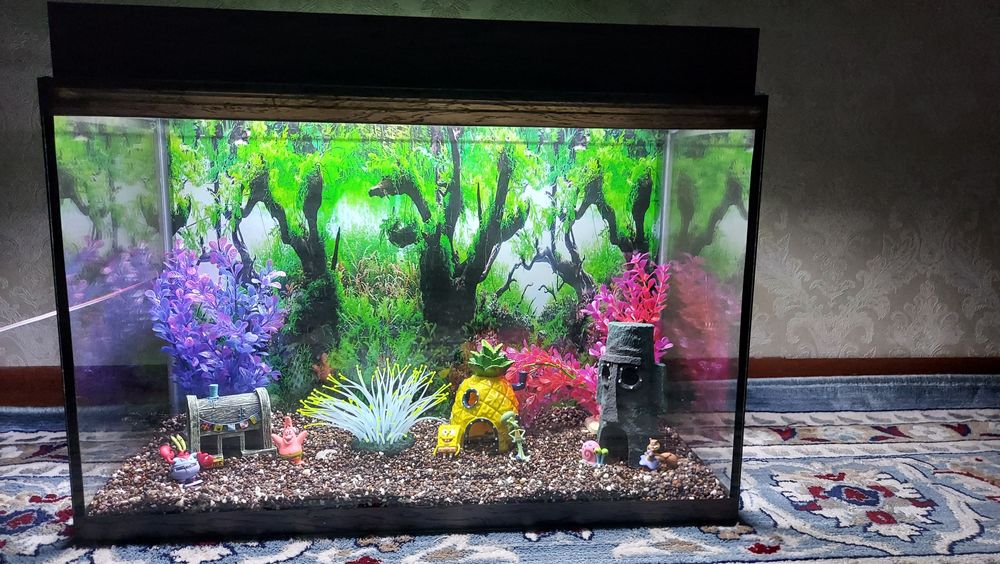 Готовые аквариумы под ключ
