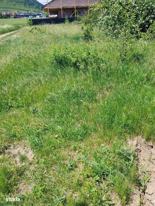 Teren intravilan zona Fermelor